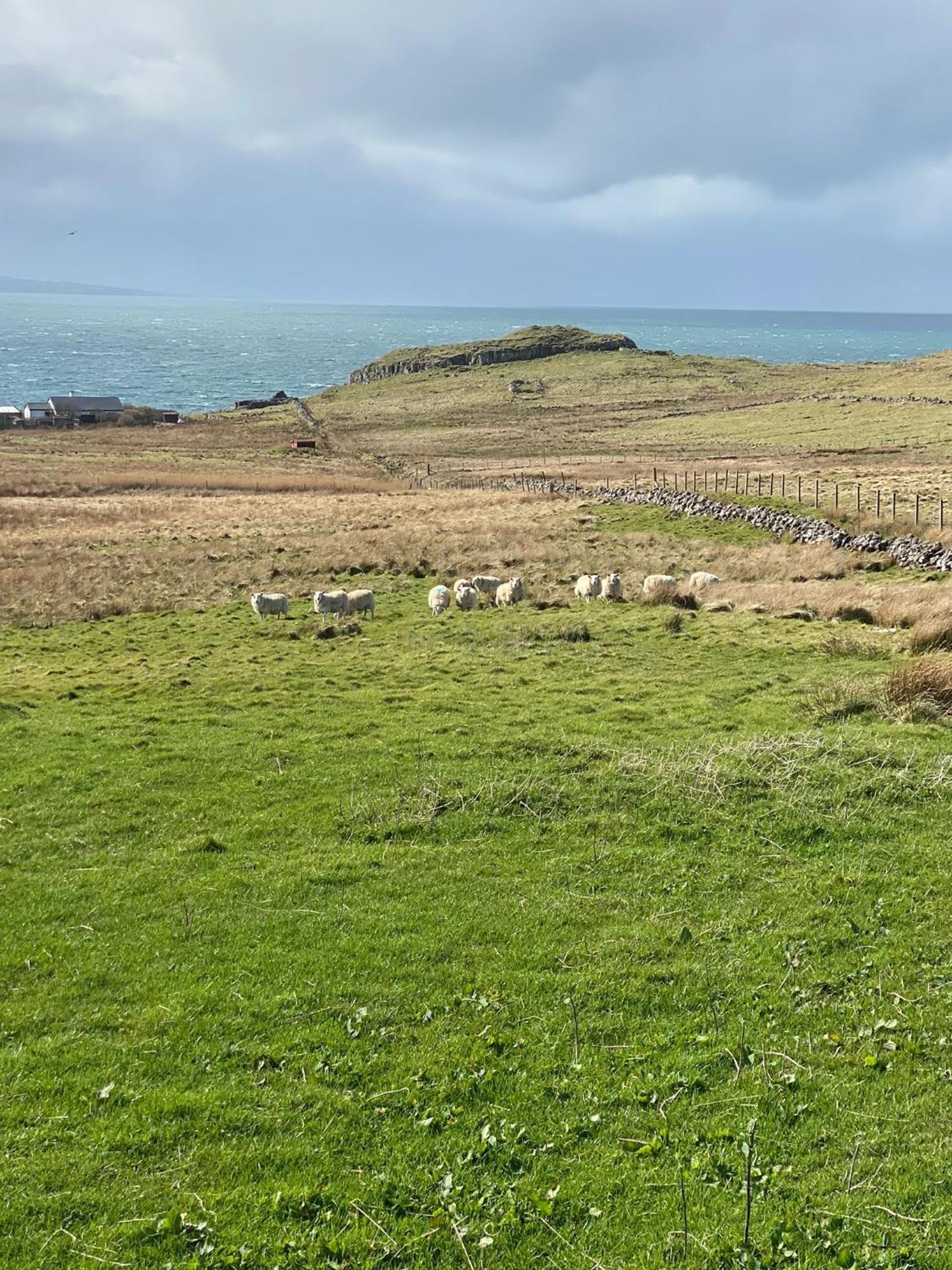 Cnoc Ruaraidh Cottage Kilmuir  Εξωτερικό φωτογραφία